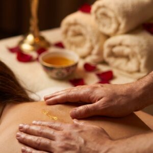 The Touch Therapy Handbook cover